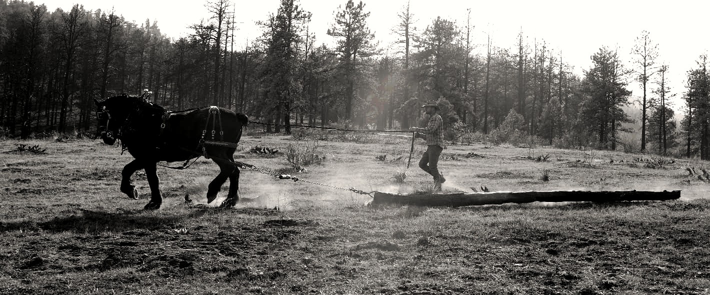 Volunteers working a fence line in the Northern Colorado foothills