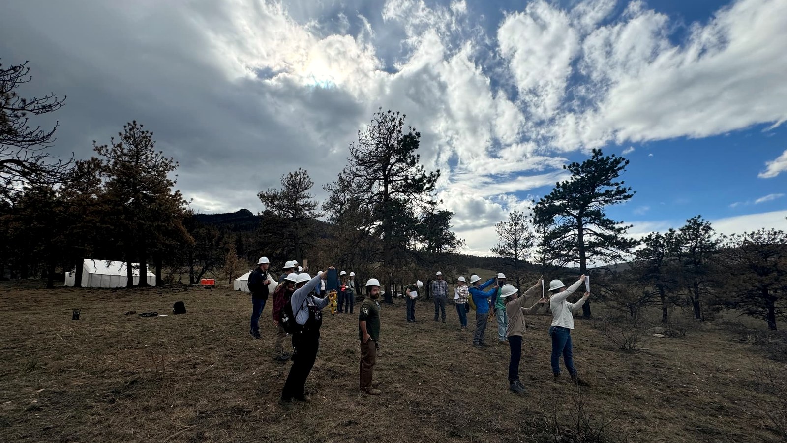 Veterans and crew members working to restore fire-affected land at Sylvan Dale