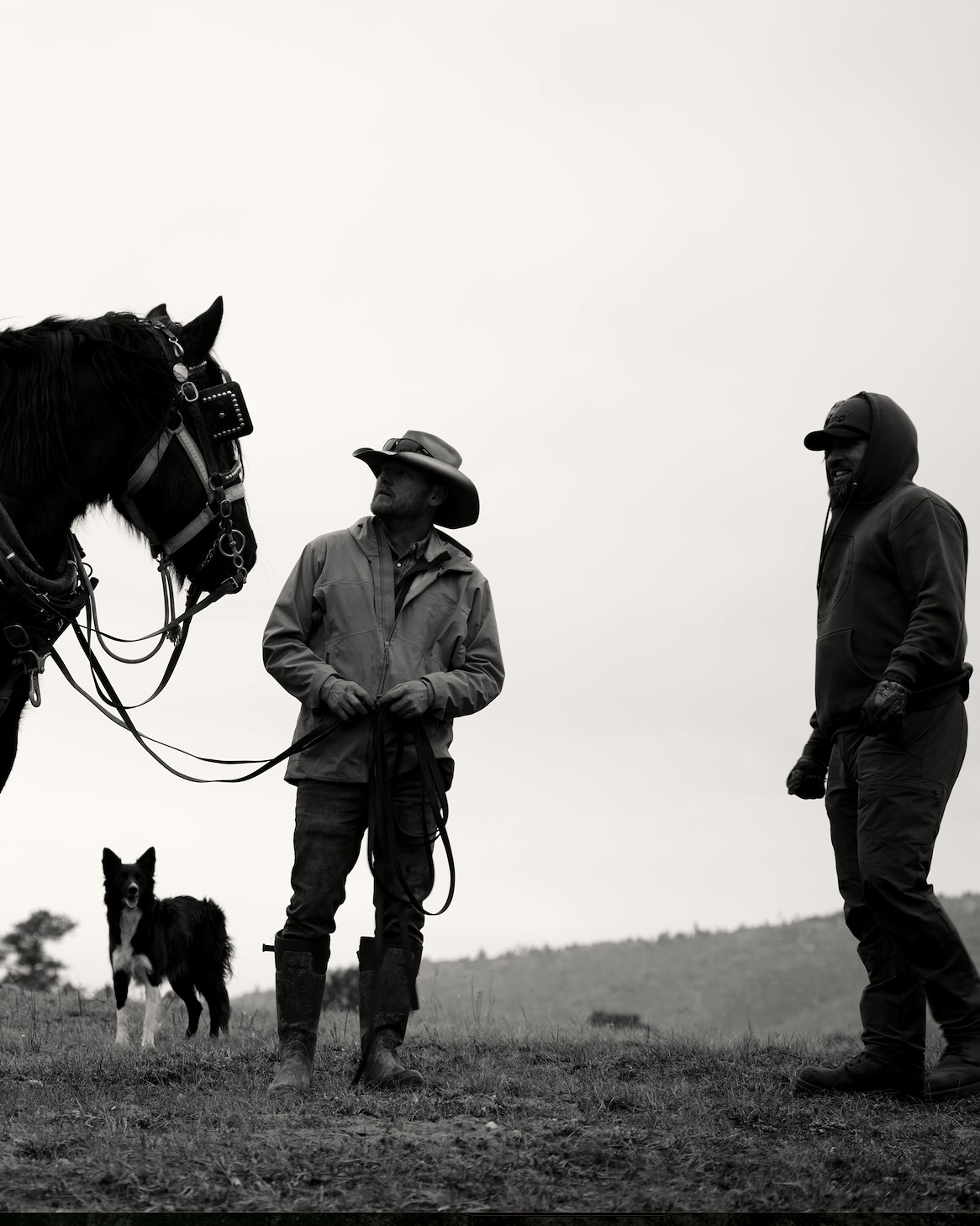 A student working with a horse as part of the H.O.L.L.S. vocational program